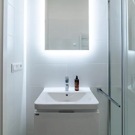 Apartment Brno
