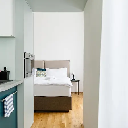 Apartment Brno 公寓 *