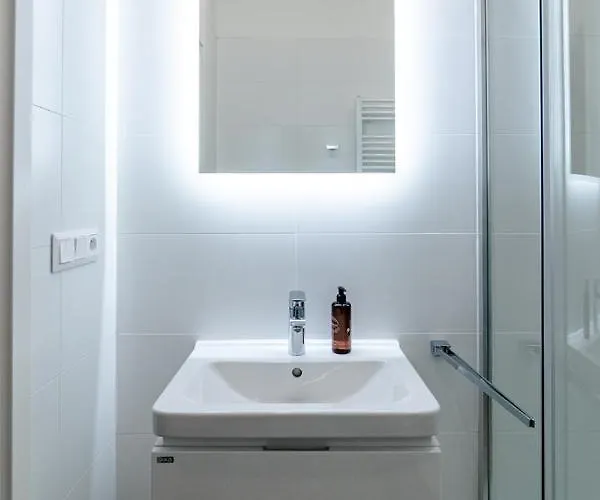 Apartment Brno