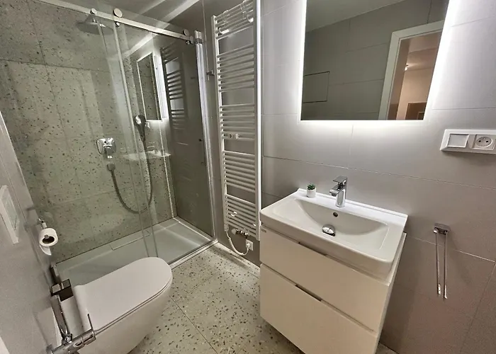 Apartment Brno